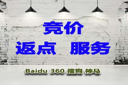 SEM推广案例：电商流量提升策略